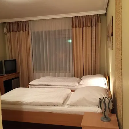 Vila Kristina Negotin Room photo