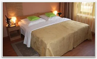 Vila Kristina Negotin Room photo